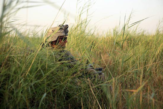 Marines-Helmand-grass.jpg